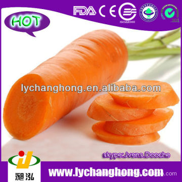 Carrot Wholesale Price from China 10kg/ctn